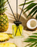 Nemea ananas e cocco Luxurya 250ml Mondello Store