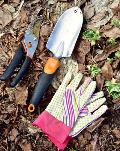 Giardinaggio ed Esterni